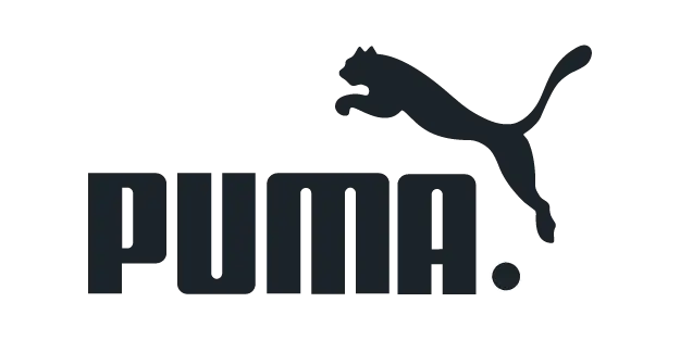 casos de éxito puma cliente cosin consulting