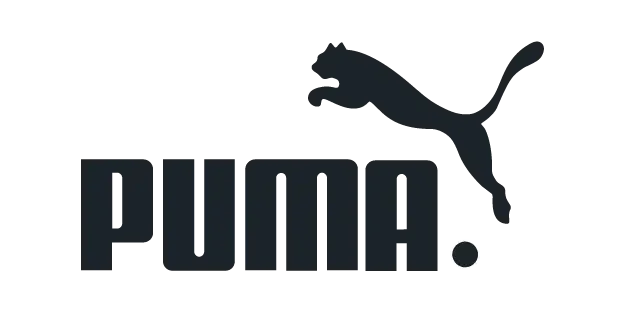 casos de éxito puma cliente cosin consulting